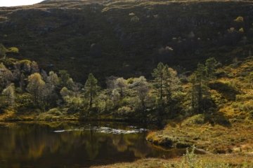 Glanzlichter 2026 Der prestigeträchtigste Naturfotografiewettbewerb Europas