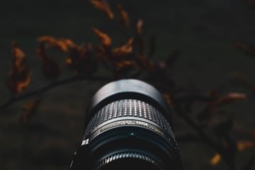 Sony FE 50-150mm F2 GM Der Zoom-Meister für Profis