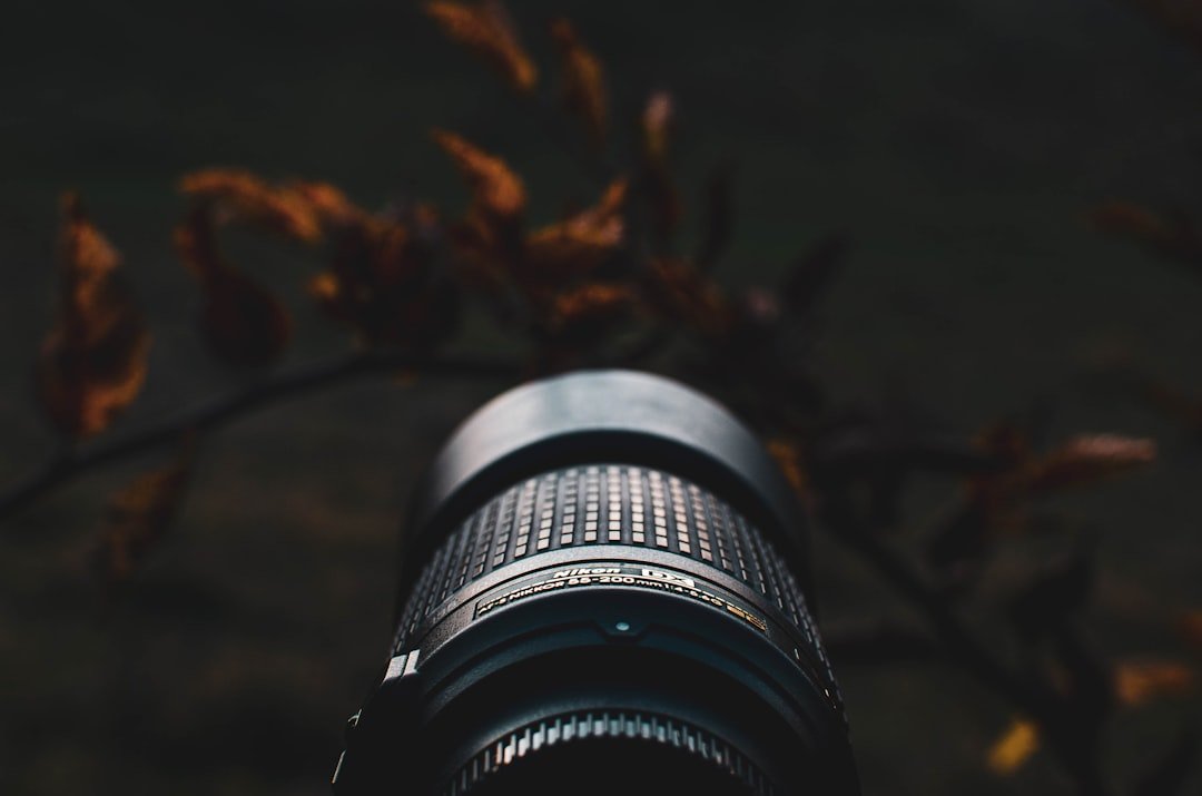 Sony FE 50-150mm F2 GM Der Zoom-Meister für Profis