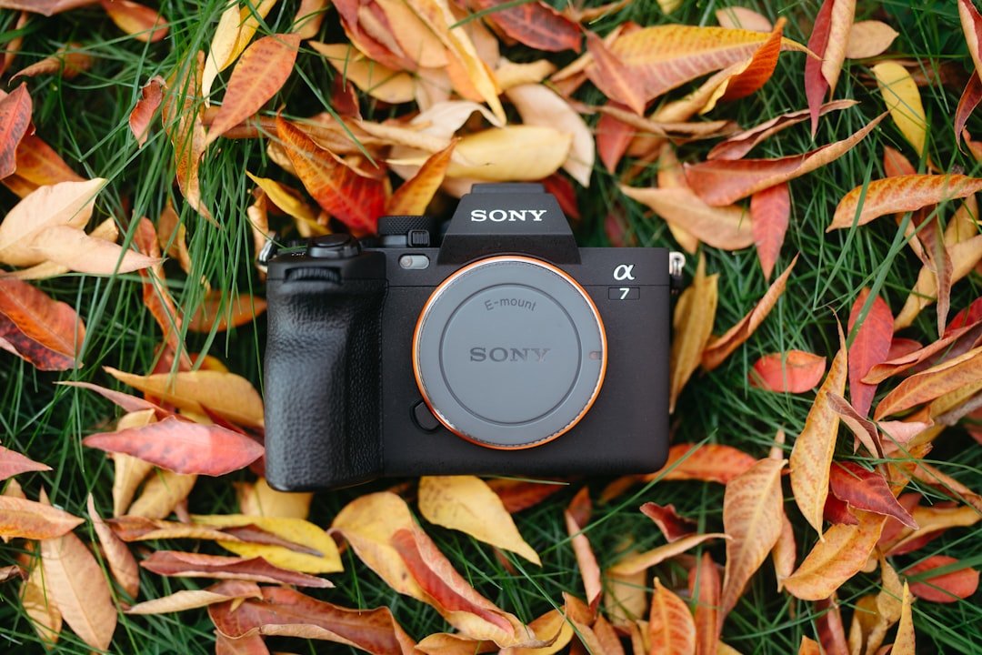 Sony a7 V Durchbruch in der Dynamikbereich-Technologie