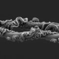 Mesmerizing spider threads
