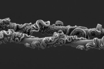 Mesmerizing spider threads