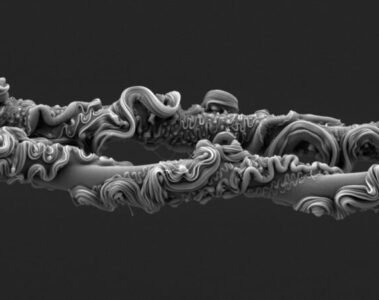 Mesmerizing spider threads