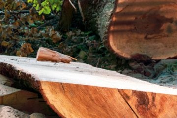 Ausrüstungstipps für Fotografen 5 unterschätzte Gear-Essentials