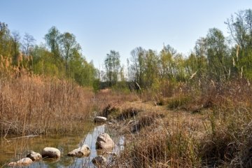 Australian Geographic Nature Photographer of the Year 2026 Naturwunder zwischen Australien und Antarktis dokumentieren