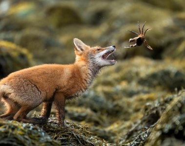 Fotografie Awards 2025 Die besten Bilder des Jahres - Image 1