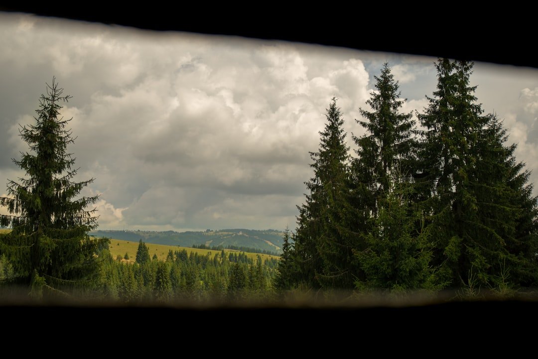 XPan-Panorama-Effekt So gelingen digitale Breitbildaufnahmen