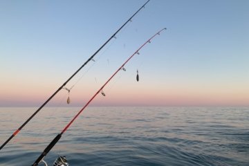 Canon RF 7-14mm f28-35L Der Fisheye-Zoom für Kreative