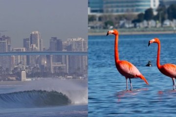Fotografen-Skandal Zwei Bildserien fälschlicherweise als Fake beschuldigt