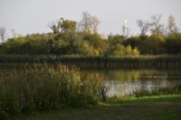 MontPhoto Nature Photography Contest 2026 Die ultimative Chance für Naturfotografen weltweit