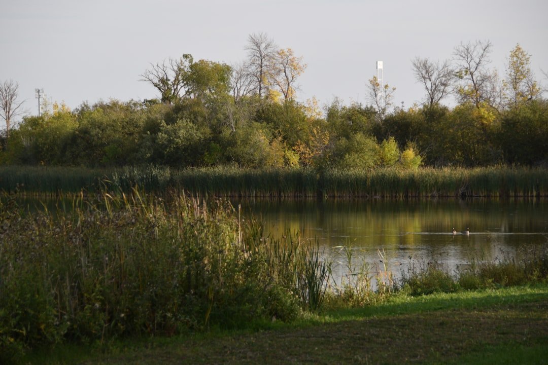 MontPhoto Nature Photography Contest 2026 Die ultimative Chance für Naturfotografen weltweit