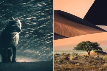 Sony World Photography Awards 2025 Die besten Momentaufnahmen der Fotografie - Image 1