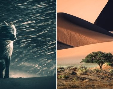 Sony World Photography Awards 2025 Die besten Momentaufnahmen der Fotografie - Image 1