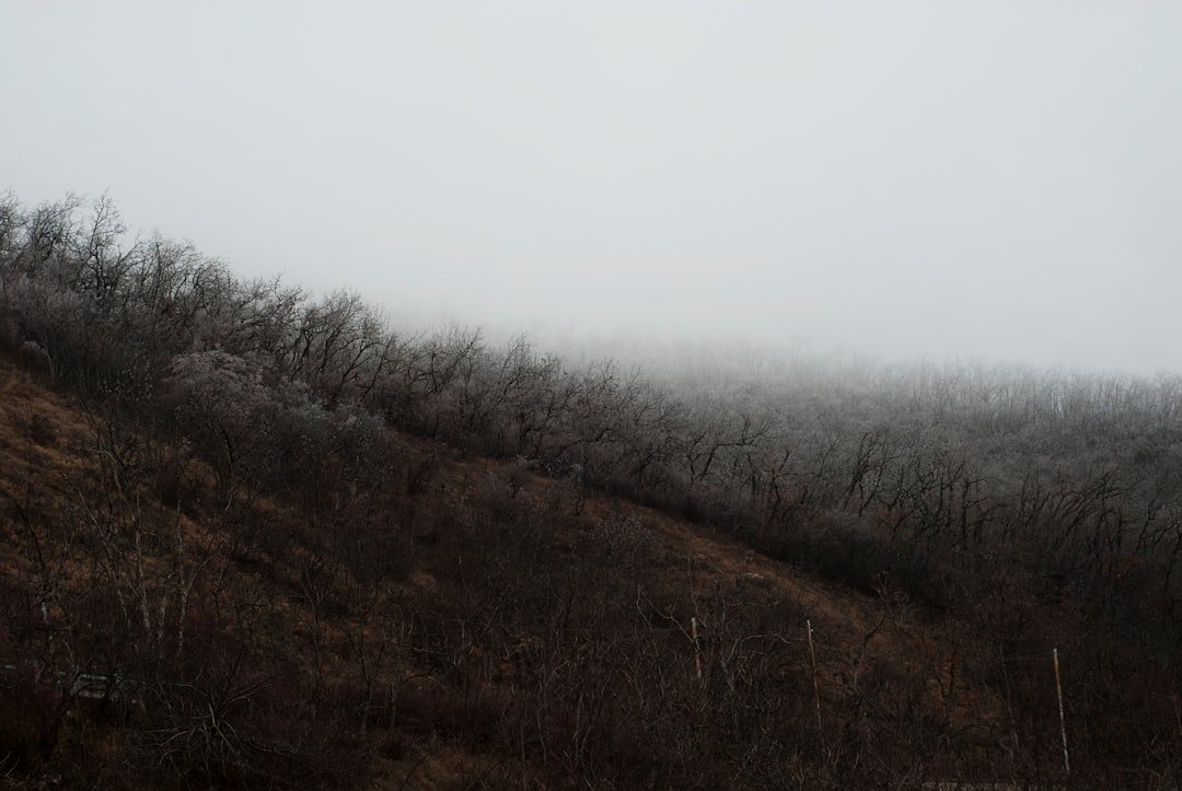 Tiefenwirkung in Lightroom Nebelbilder professionell bearbeiten