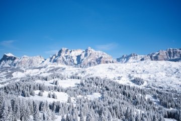 Samyang Schneider 14-24mm f28 L-Mount Revolution für Landschaftsfotografen