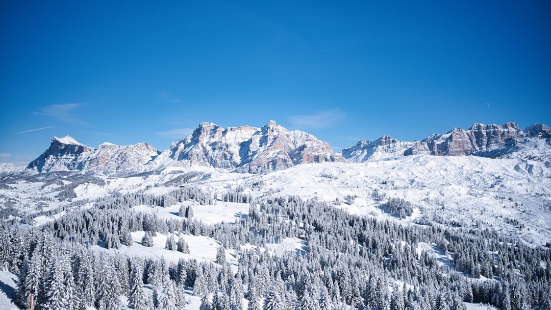 Samyang Schneider 14-24mm f28 L-Mount Revolution für Landschaftsfotografen