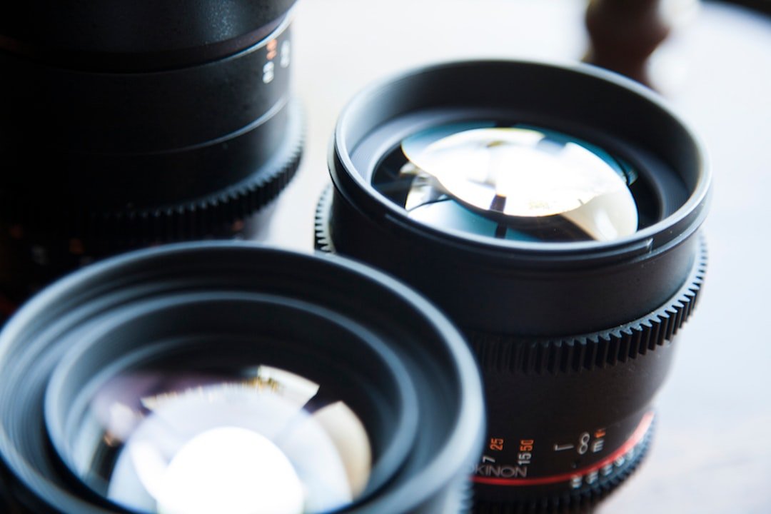 Laowa Probe Zoom Makrofotografie neu definiert