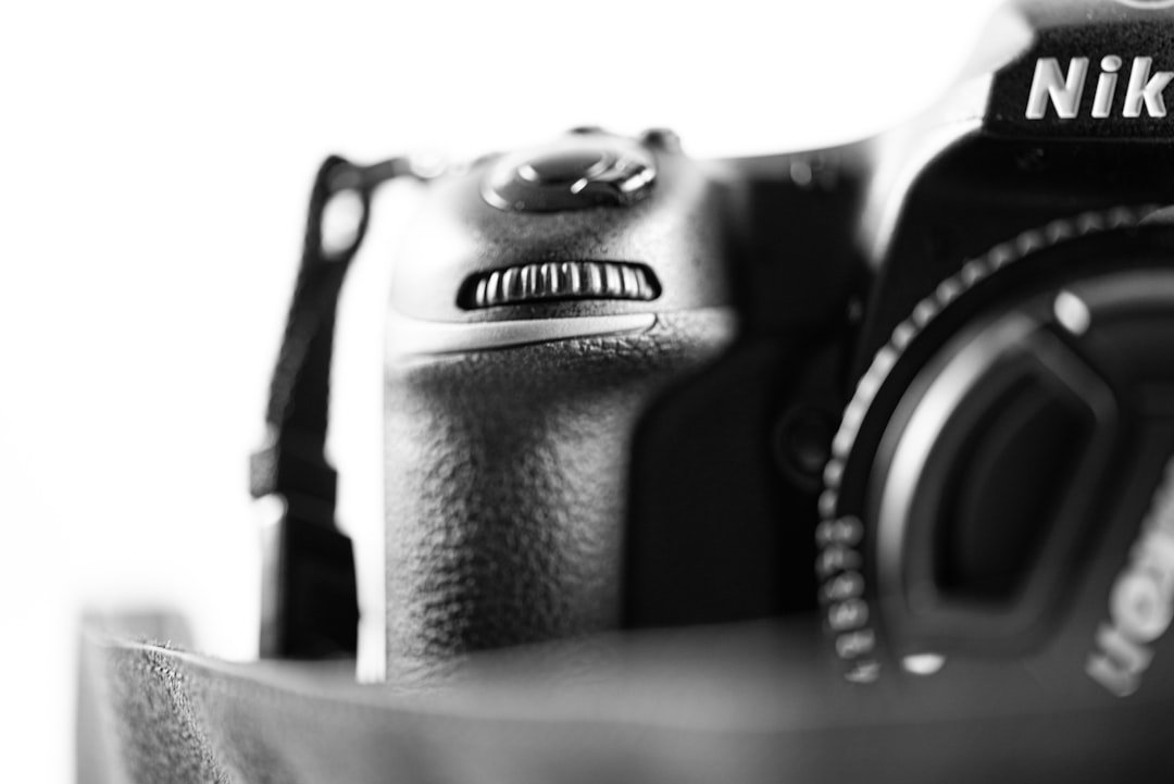 Nikon Z 14-30mm f4 S Das Erfolgsgeheimnis eines fünf Jahre alten Objektivs