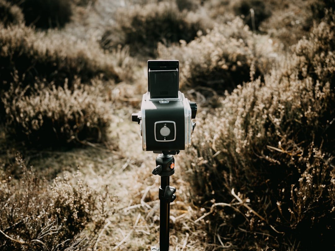 Hasselblad trifft Capture One Die Mittelformat-Revolution