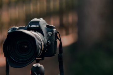 Canon Marktanteil wächst Dominanz im Kameramarkt