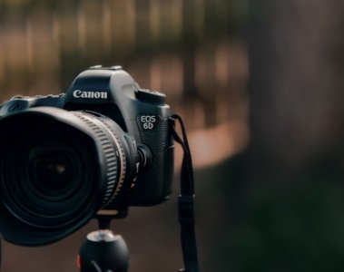 Canon Marktanteil wächst Dominanz im Kameramarkt