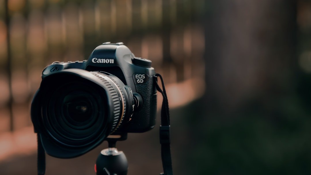 Canon Marktanteil wächst Dominanz im Kameramarkt
