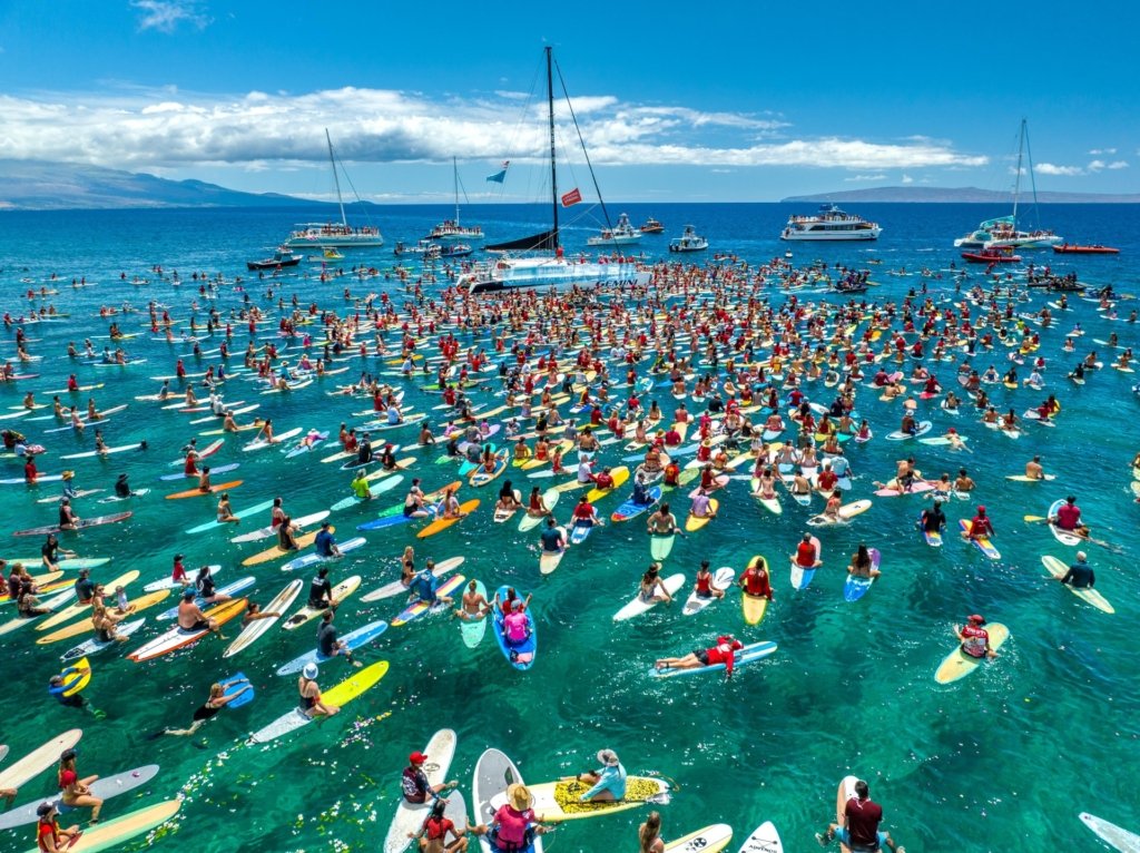 Ocean Photographer of the Year 2026 Technische Analyse - Image 9