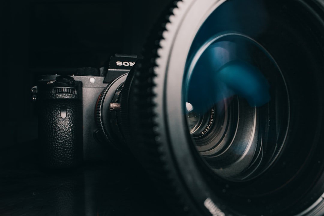 Sony FE 100-400mm f56-8 OSS im Test Das vernünftige Telezoom für preisbewusste Fotografen
