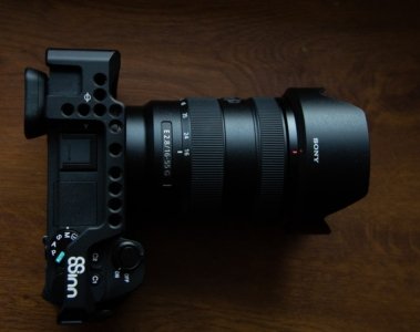 Sony RX10 V im Test Die ultimative All-in-One-Kamera für Wildlife Reise und Sport