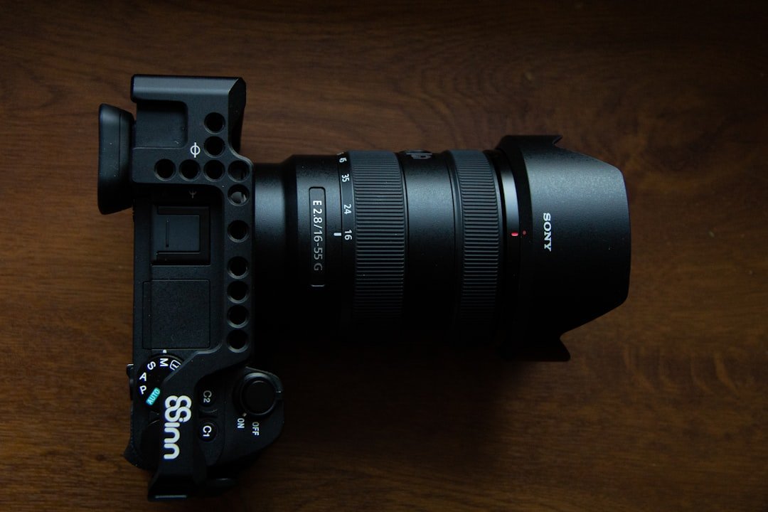 Sony RX10 V im Test Die ultimative All-in-One-Kamera für Wildlife Reise und Sport