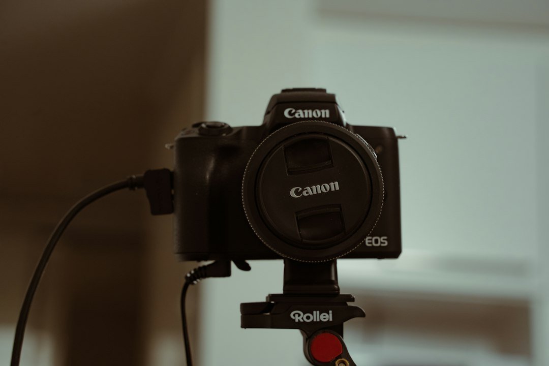 Canon EOS R8 II im ersten Praxistest Der neue Maßstab für den Einstieg ins Vollformat
