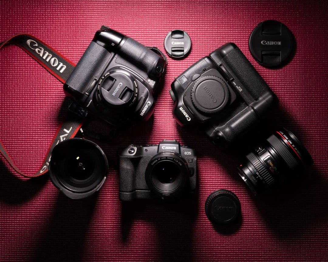 Canon EOS R8 Mark II Die neue Vollformat-Mittelklasse im Test