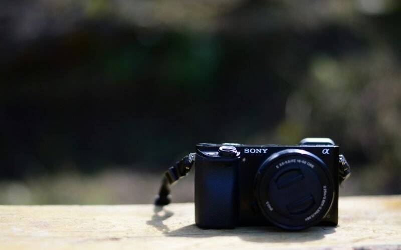 Sony RX10 V im Test Die ultimative All-in-One-Kamera für Wildlife und Reise
