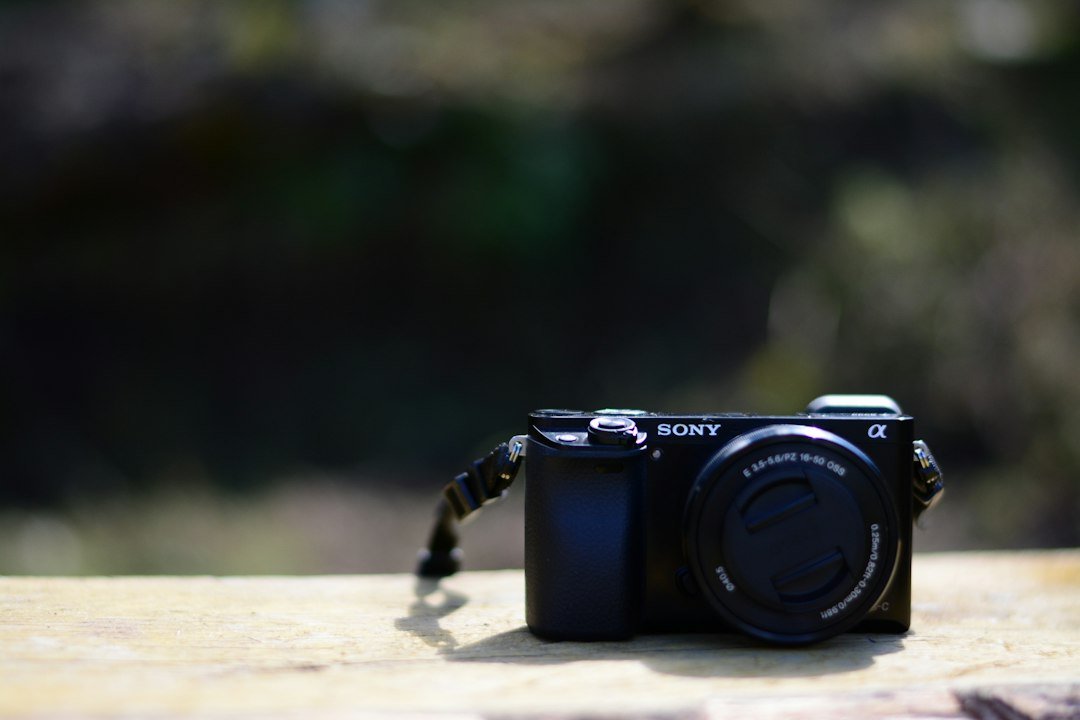 Sony RX10 V im Test Die ultimative All-in-One-Kamera für Wildlife und Reise