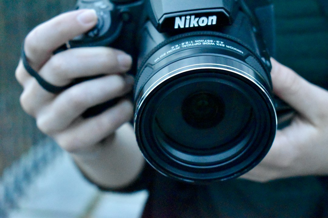 Sigma 16-300mm f35-67 für Nikon Z Das ultimative Reisezoom