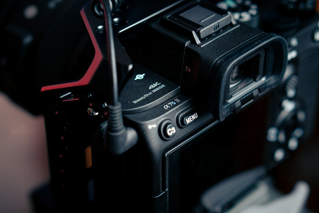 Sigma 50-120mm f28 Die Lichtstarke APS-C Tele-Revolution
