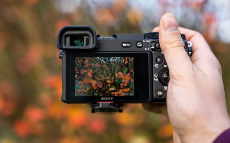 Tamron 16-50mm f28 Das ideale Allround-Zoom für APS-C