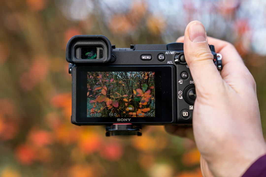Tamron 16-50mm f28 Das ideale Allround-Zoom für APS-C